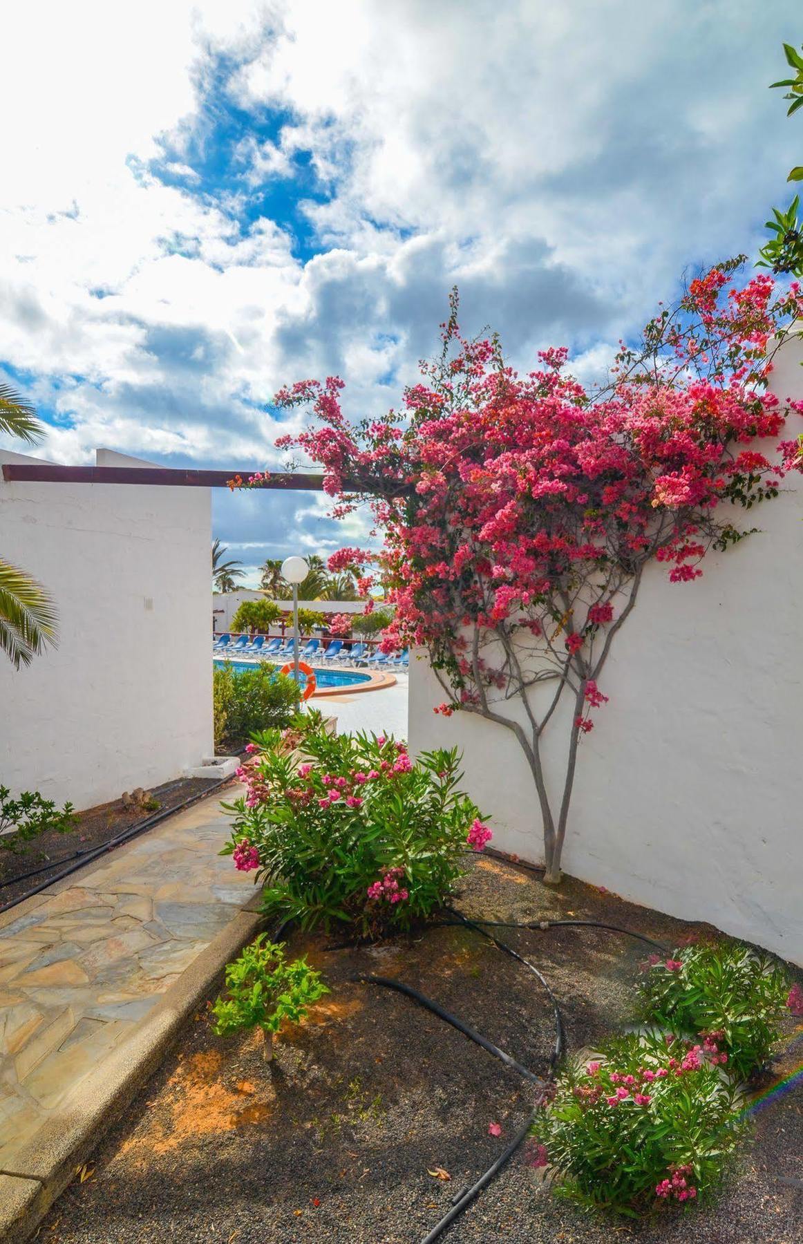 Castillo Club Hotel